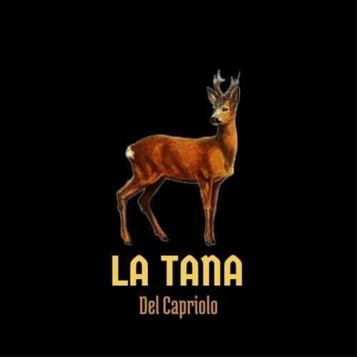 La Tana Del Capriolo Apartment Prati di Tivo Екстериор снимка